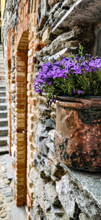 Agriturismo Il Medeghino Musso Esterno foto